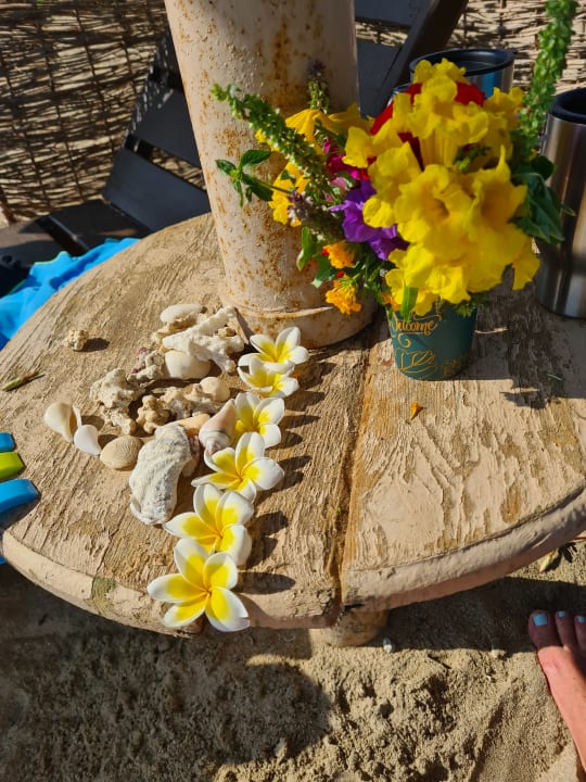 Strand Shams Alam Beach Resort