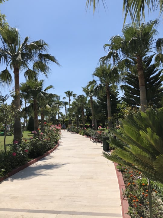 Gartenanlage Saphir Resort & Spa