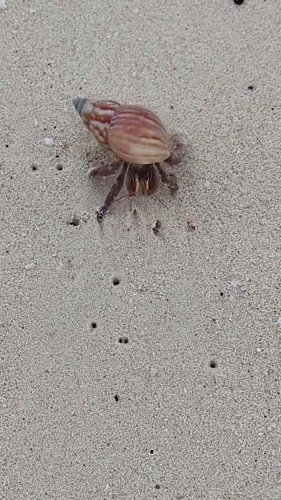 Strand Santhiya Phuket Natai Resort & Spa