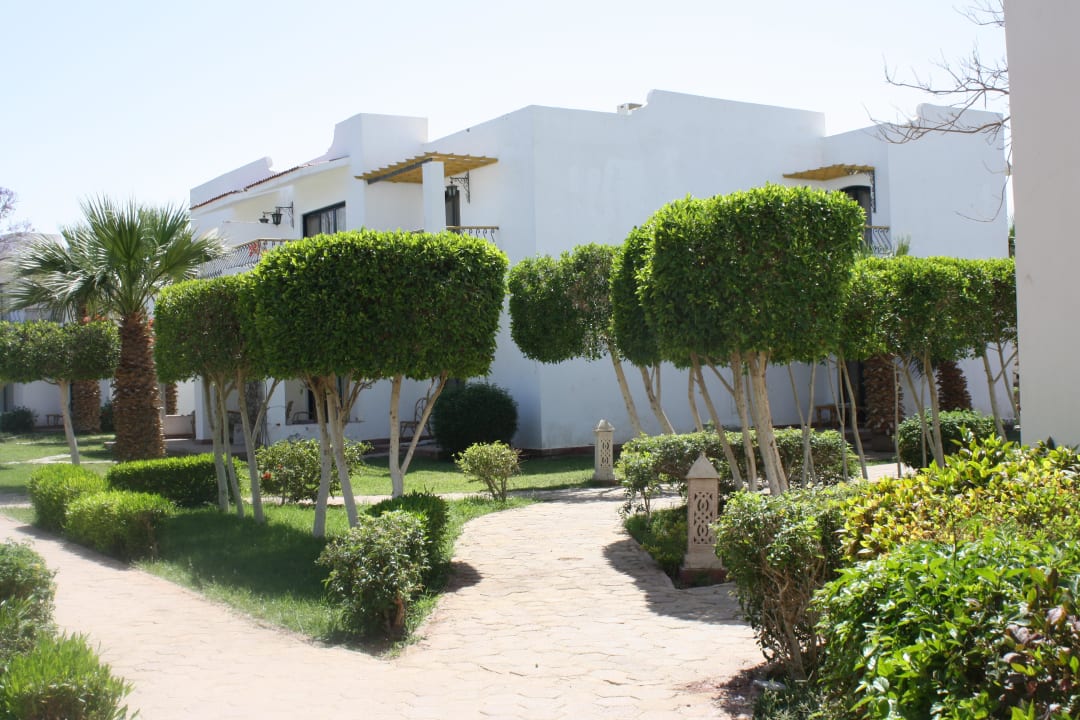 Wunderschön geschnittene Bäume Lotus Bay Beach Resort