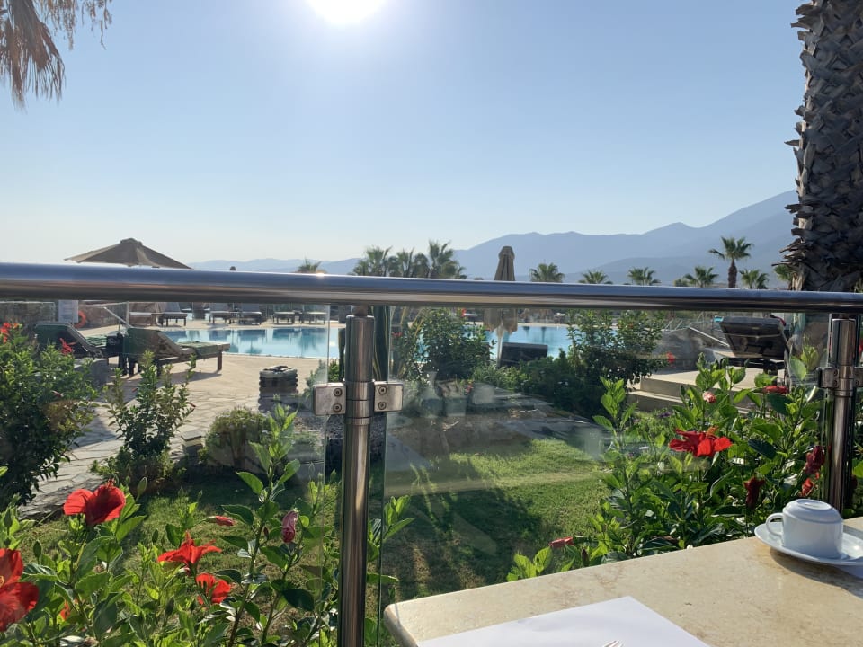 Gastro Ikaros Beach Luxury Resort & Spa - Adults Only