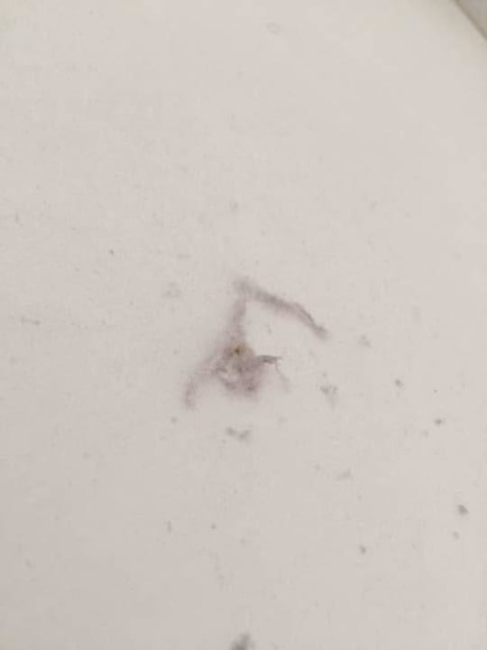 Staub wo das Auge hinschaut! Das Kaltschmid - Familotel Tirol