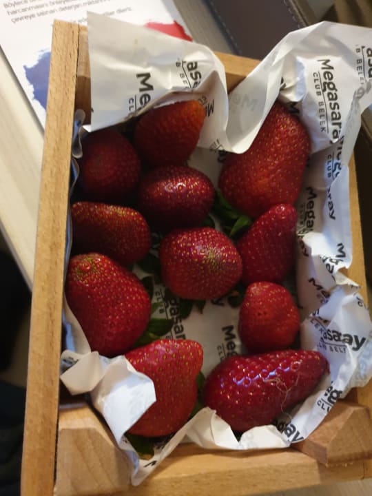 Gastro Megasaray Club Belek