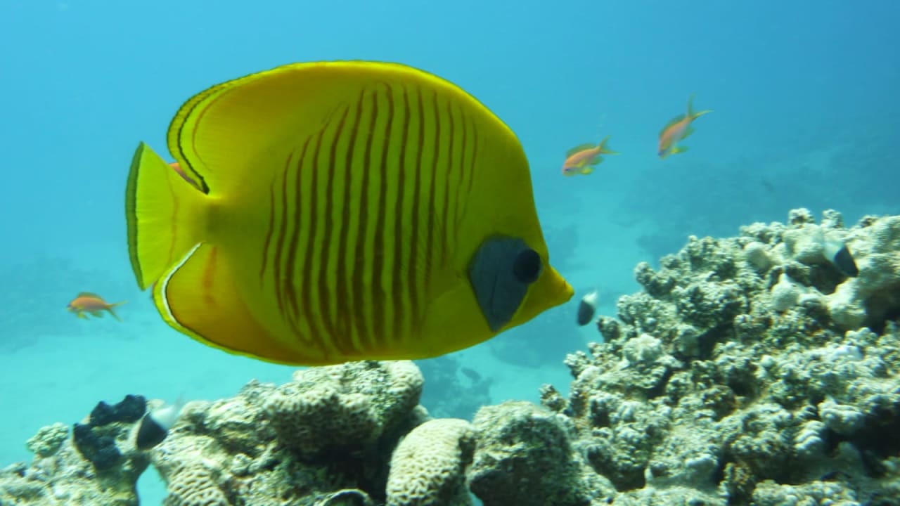 Sport & Freizeit Makadi Spa - Adults only