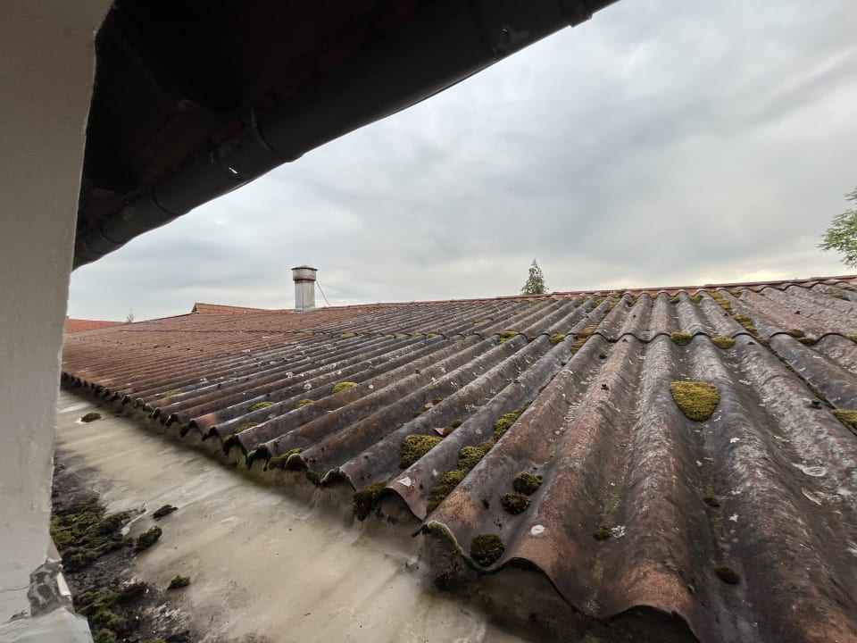Ausblick Landhotel Lechstedter Obstweinschänke