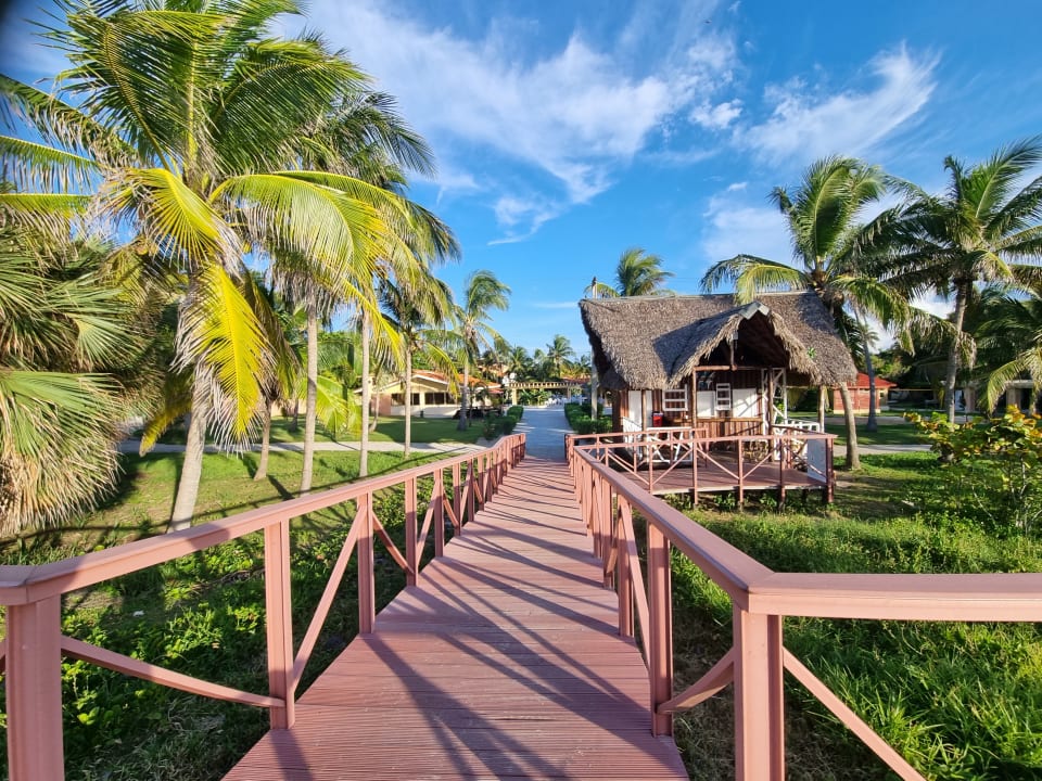 Gartenanlage Hotel Roc Barlovento