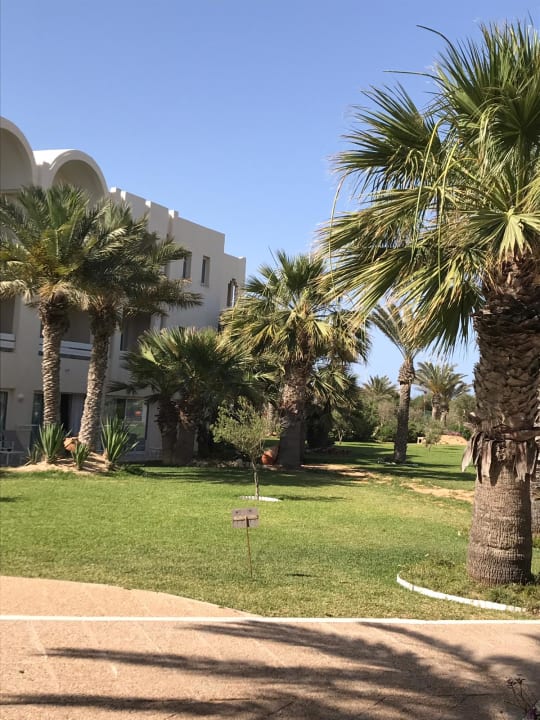 Pool Iberostar Waves Mehari Djerba