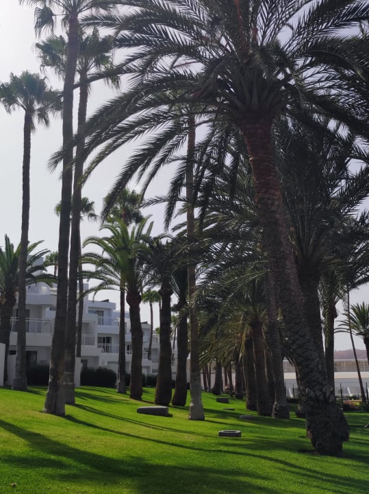 Außenansicht Hotel Riu Paraiso Lanzarote