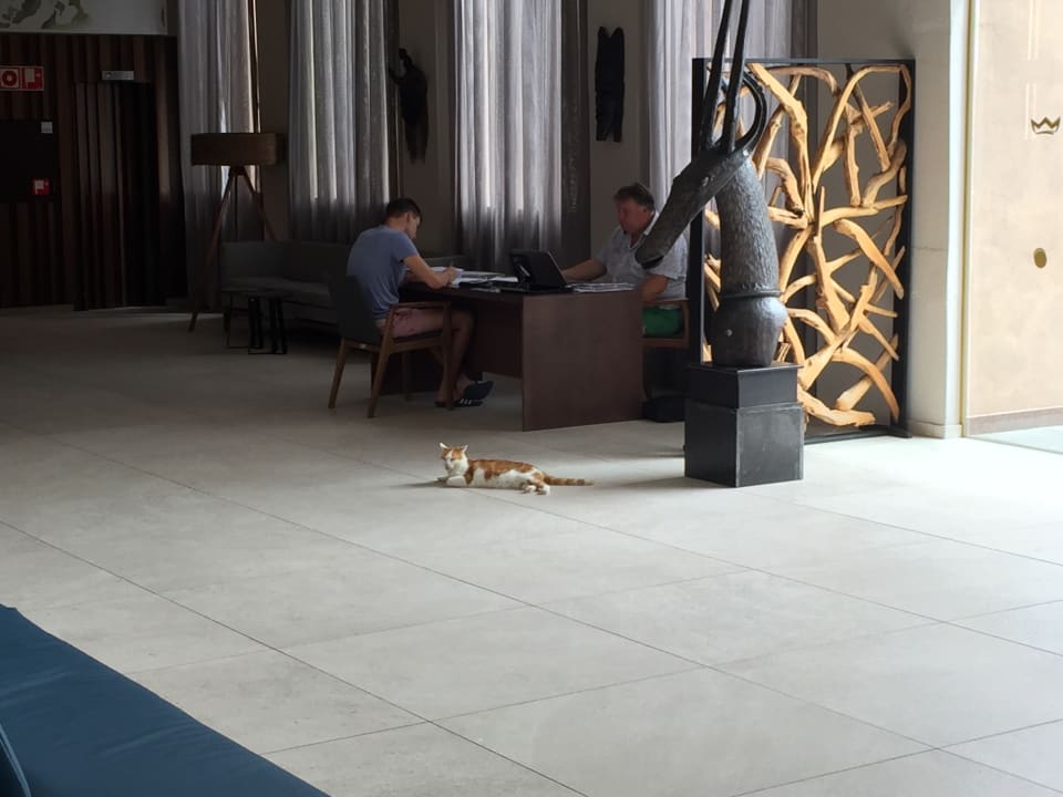 Lobby Hotel Riu Cabo Verde