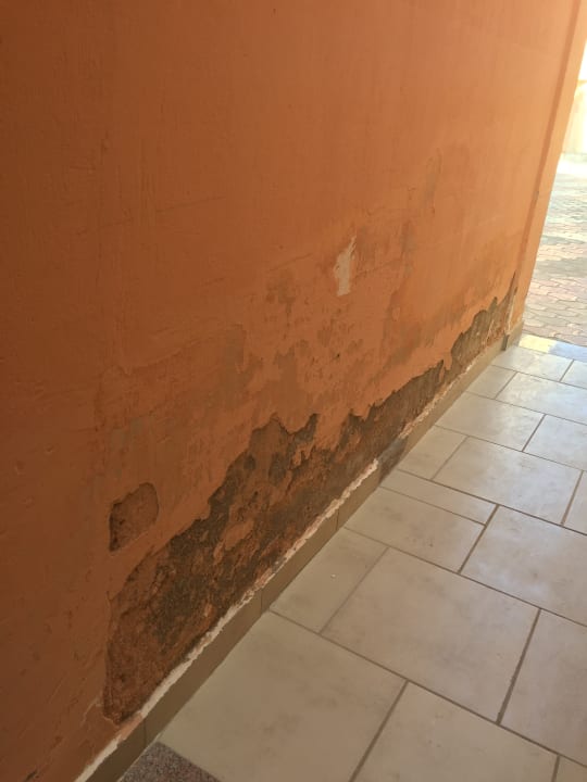 Sonstiges Three Corners Sea Beach Resort