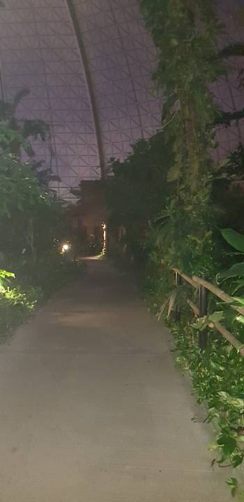 Gartenanlage Tropical Islands Resort