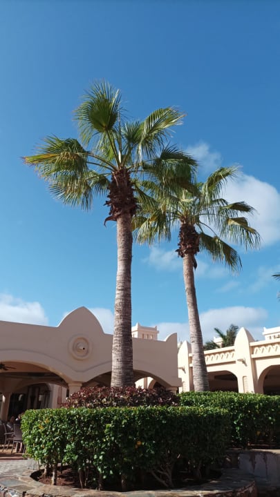 Gartenanlage Hotel Riu Touareg