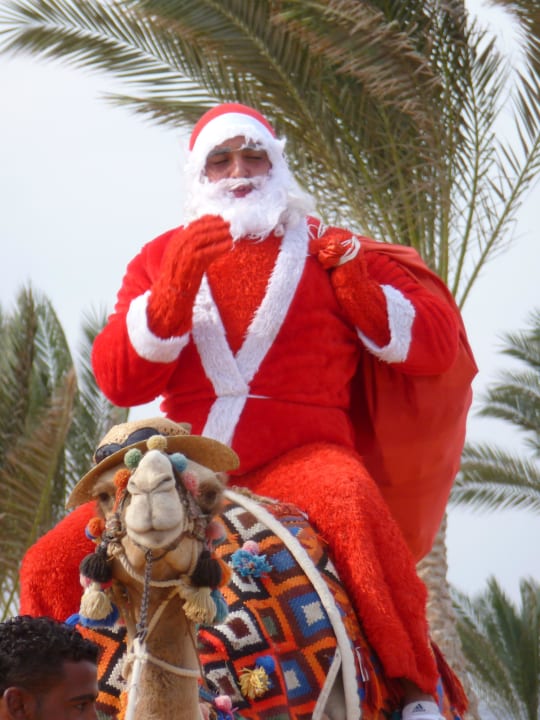 Weihnachtsmann ohne Rentier Jaz Solaya