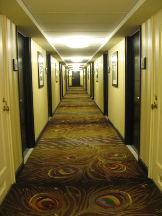 Hotelflur Palmer House A Hilton Hotel