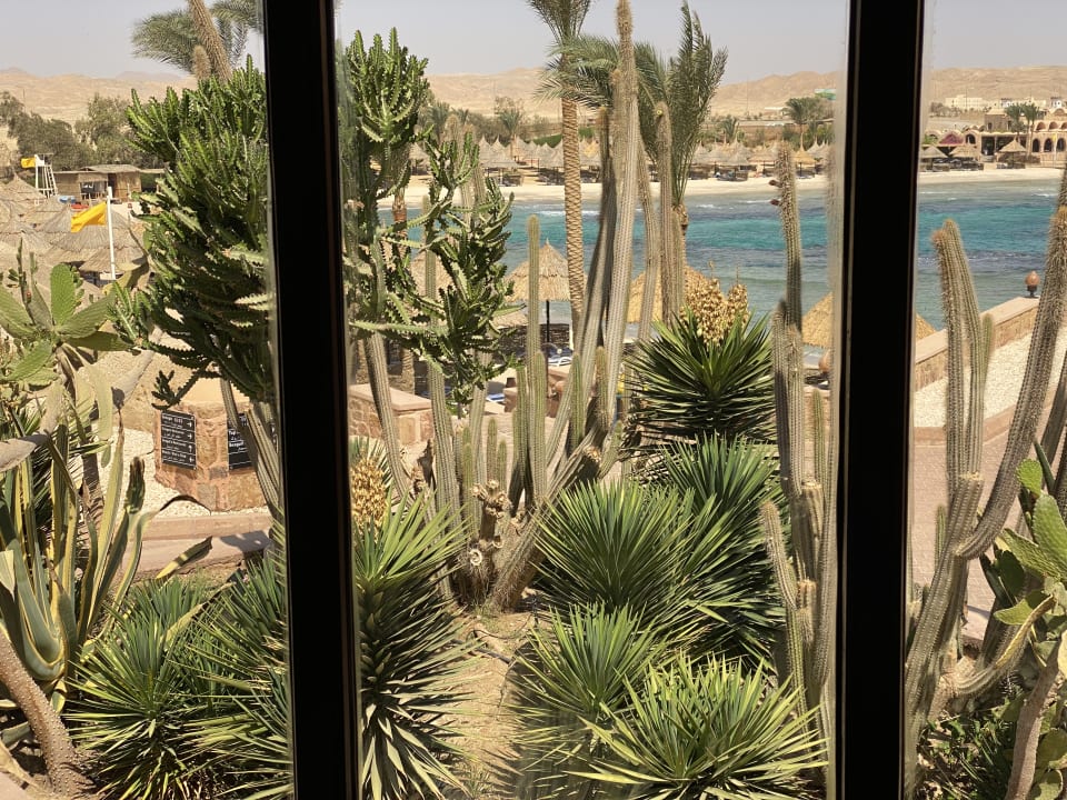 Ausblick Mövenpick Resort El Quseir