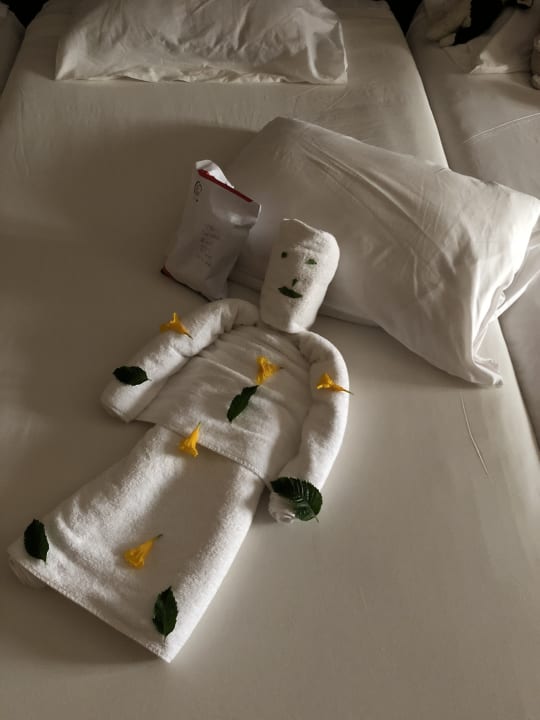 Zimmer Jaz Dar EL Madina