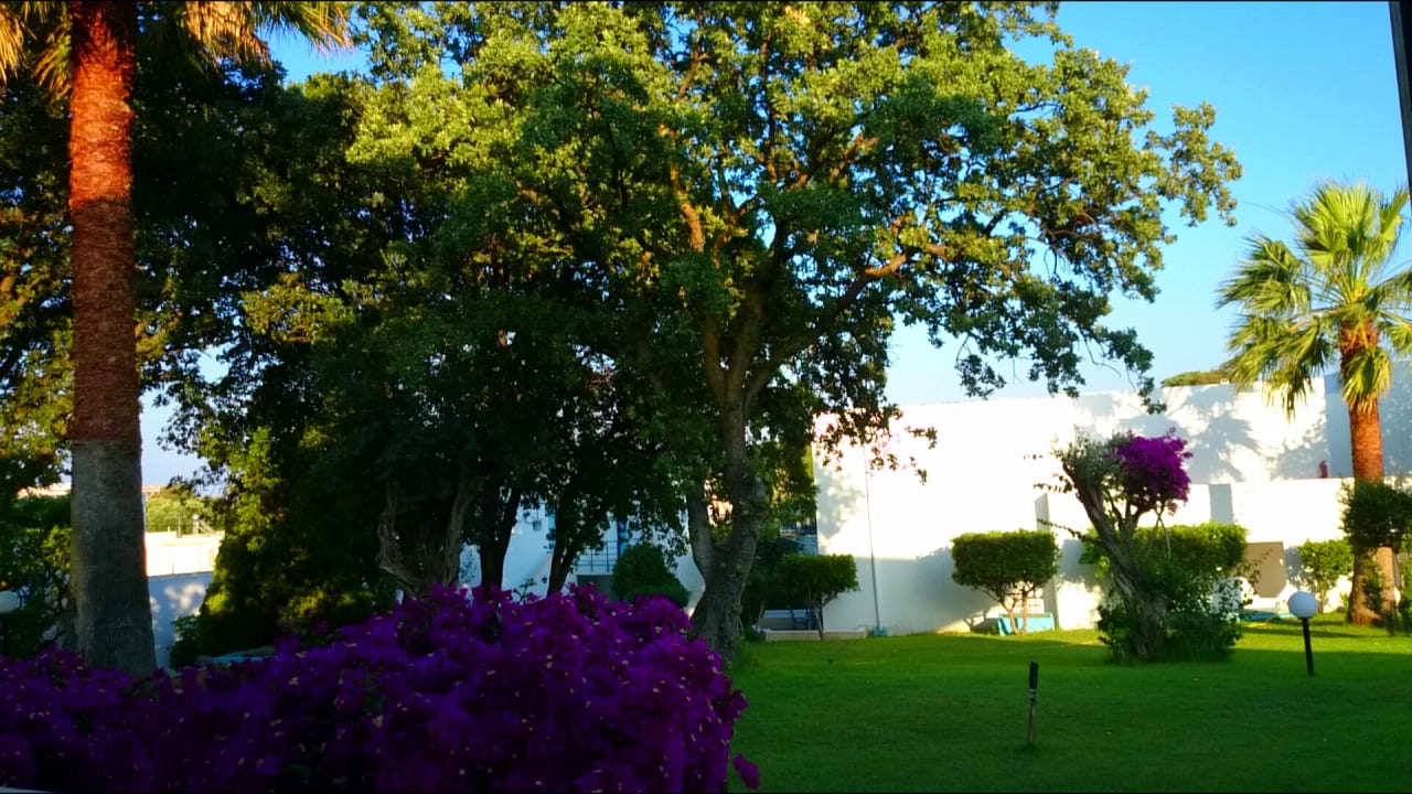 Gartenanlage Hotel Kalithea Sun & Sky