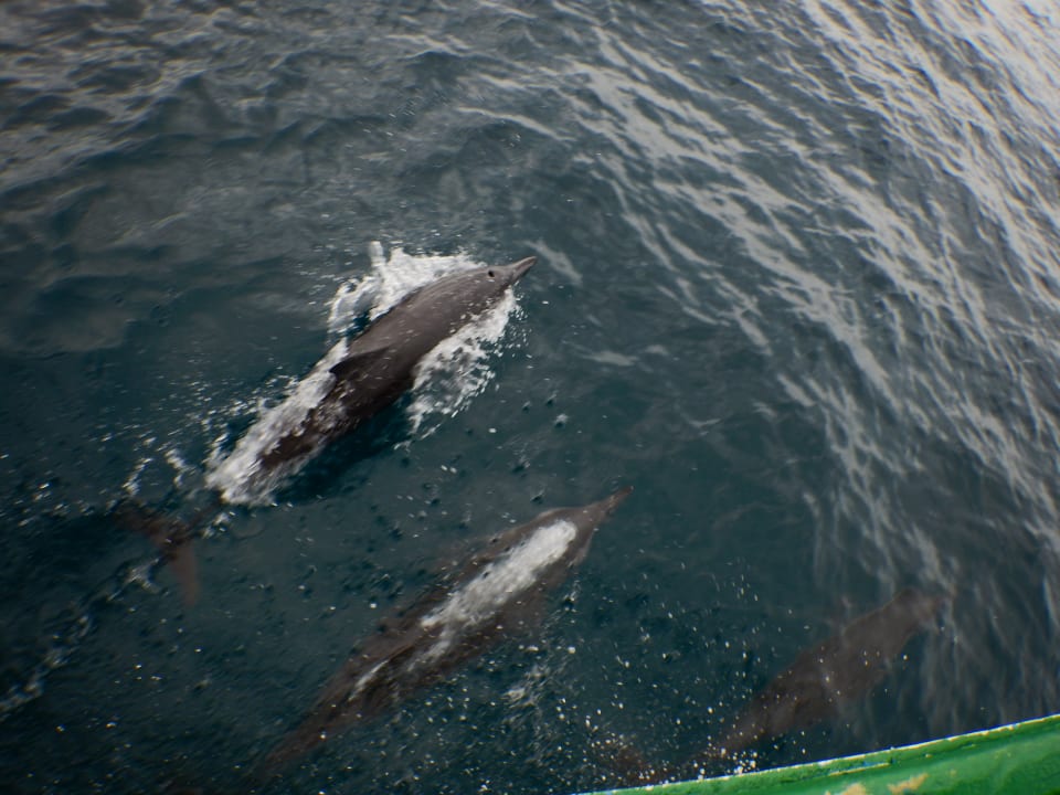 Sport & Freizeit NH Collection Maldives Reethi Resort