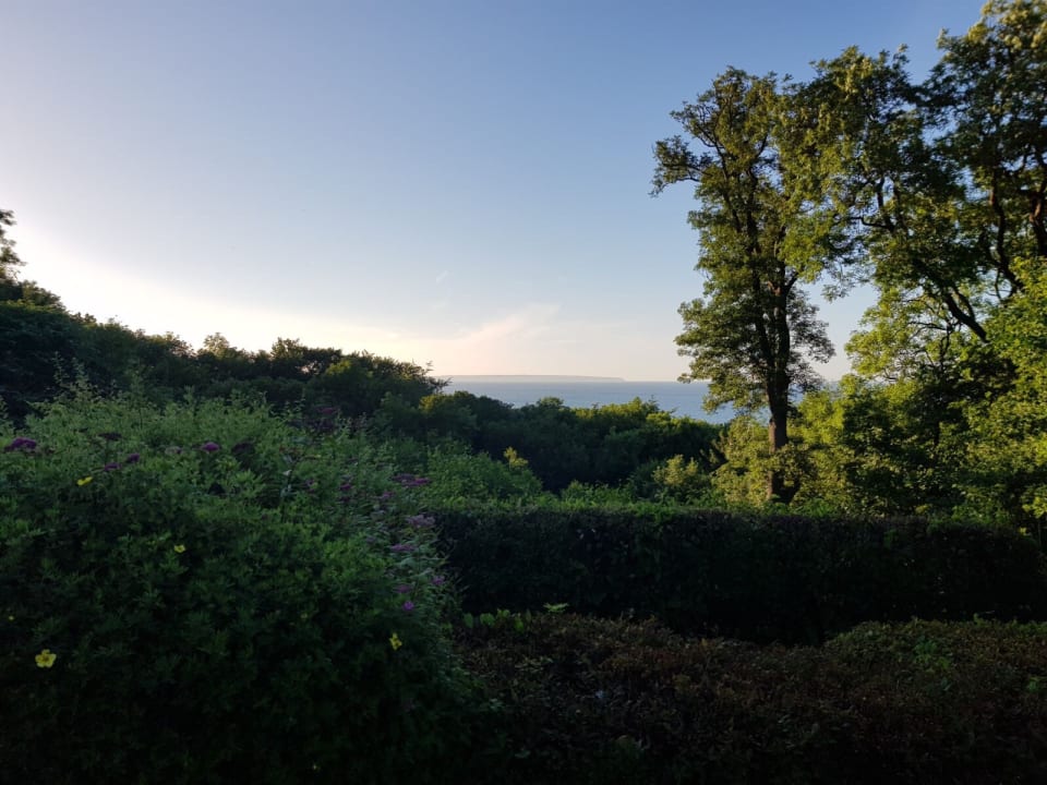 Ausblick Rügener Ferienhäuser am Hochufer