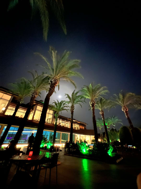 Außenansicht IC Hotels Green Palace