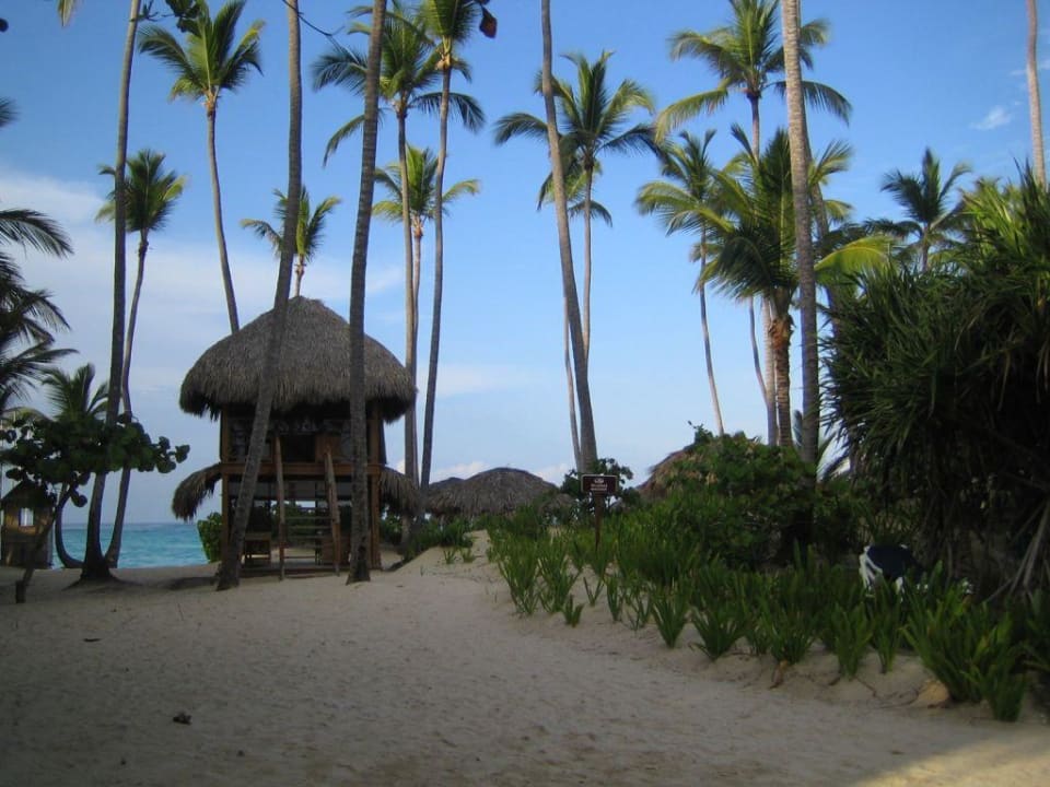 Strandteil Bavaro Grand Palladium Punta Cana Resort & Spa