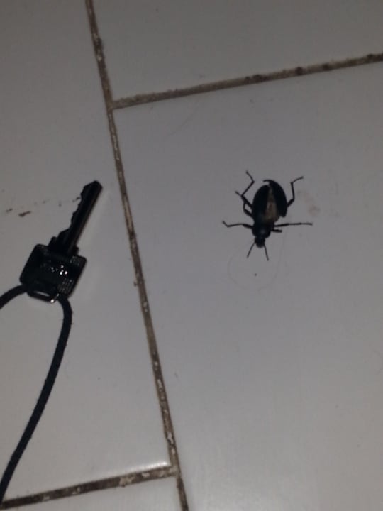 Nur schauen, nicht anfassen! Houda Golf & Beach Club