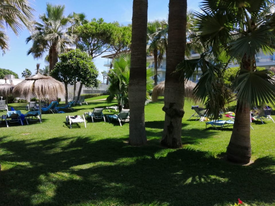 Gartenanlage Playa Esperanza Resort
