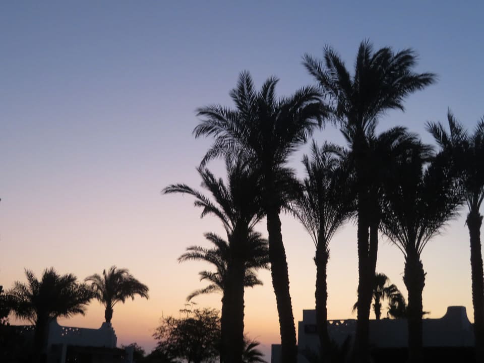 Gartenanlage Shams Safaga Resort