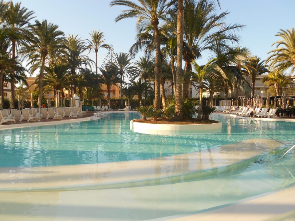 Pool Hotel Riu Palace Palmeras