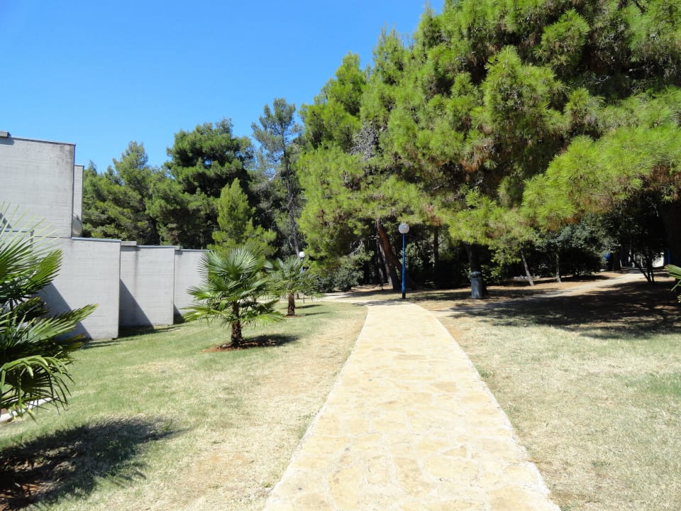 Außenanlage Valamar Parentino Hotel