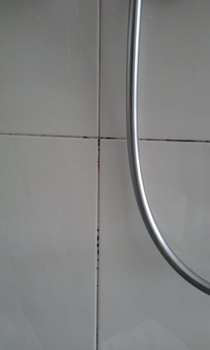 Schimmlige Fliesenfugen trotz Beschwerden  Flemings Hotel Wien-Stadthalle