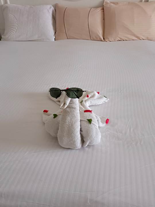 Sonstiges The Grand Palace - Adults only