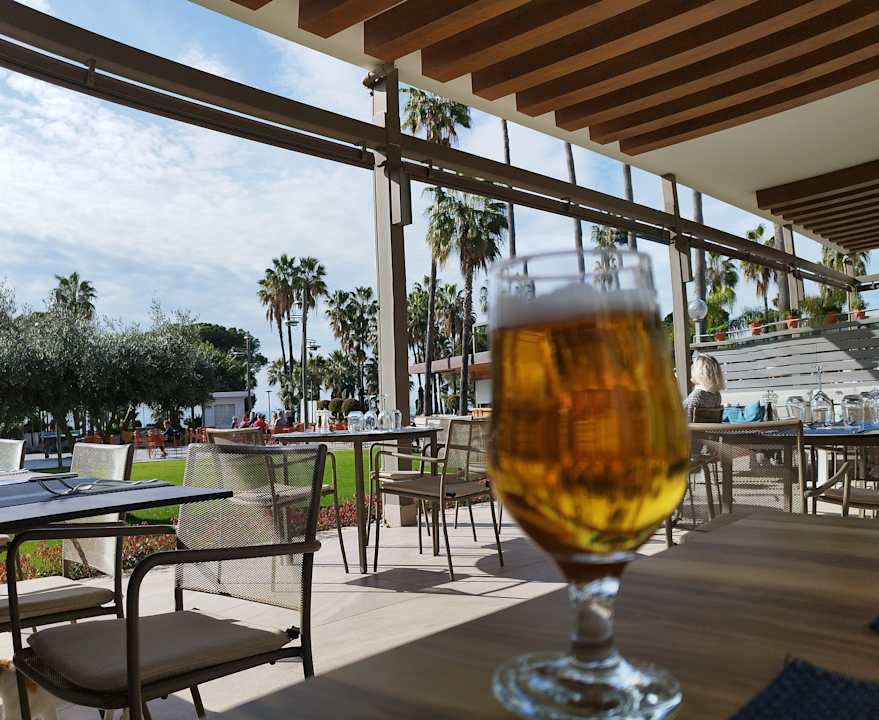 Gastro Acanthus Cennet Barut Collection