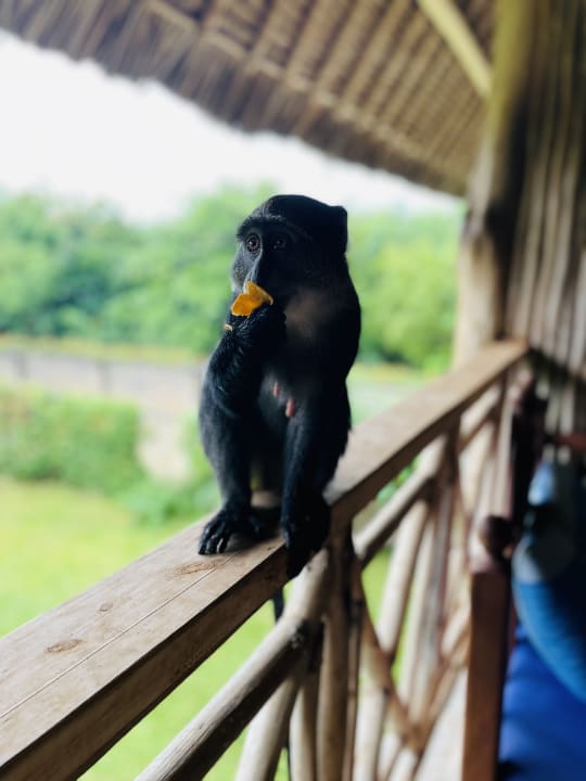 Sonstiges Neptune Palm Beach Boutique Resort & Spa