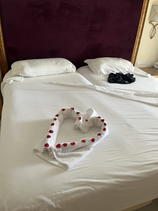 Zimmer Hotel Marhaba Palace