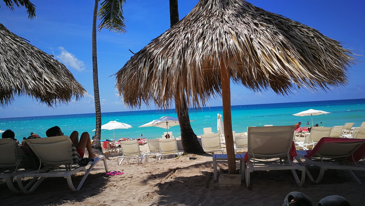 Strand Catalonia Royal La Romana - Adults only