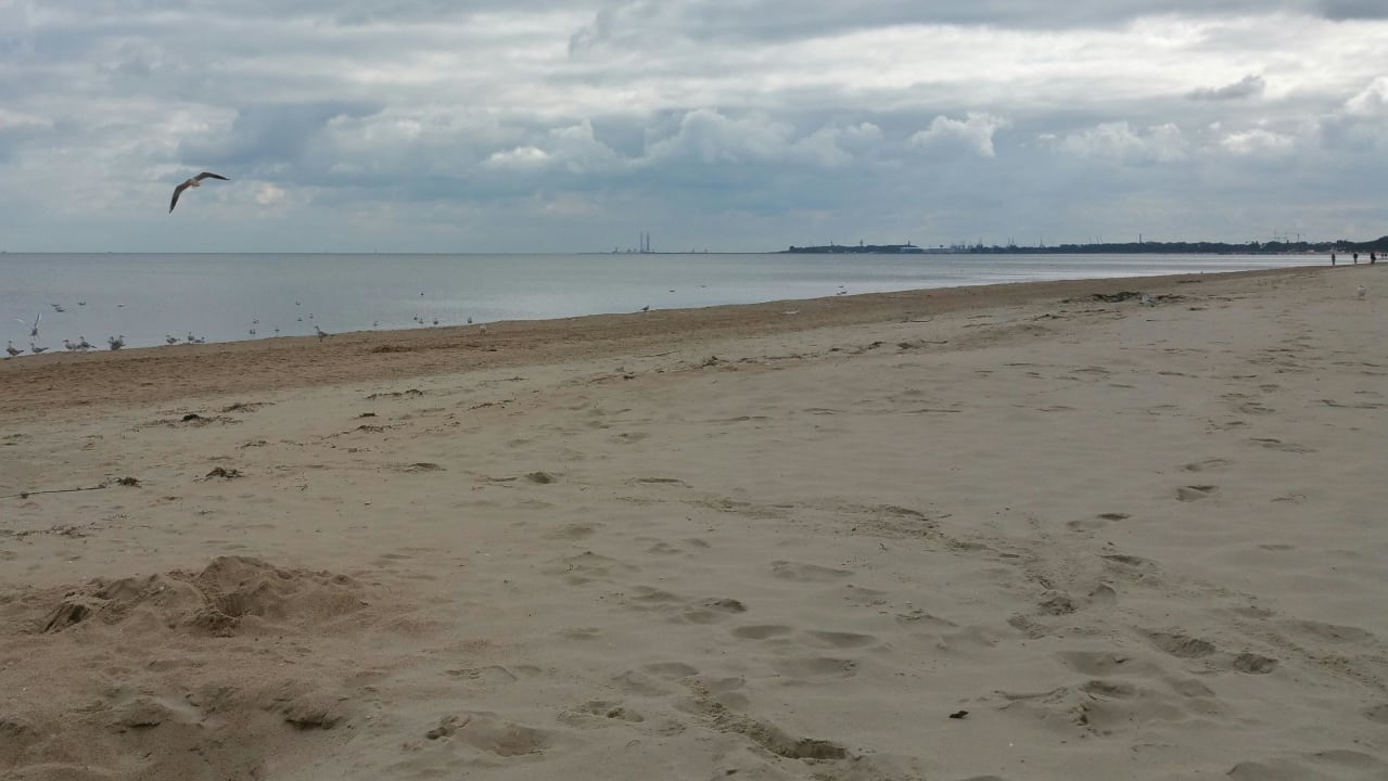 Plaża Jelitkowo Hotel Novotel Marina