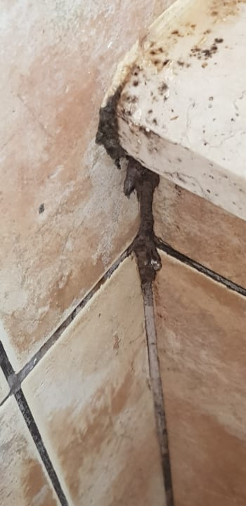 Zimmer Pickalbatros Citadel Resort