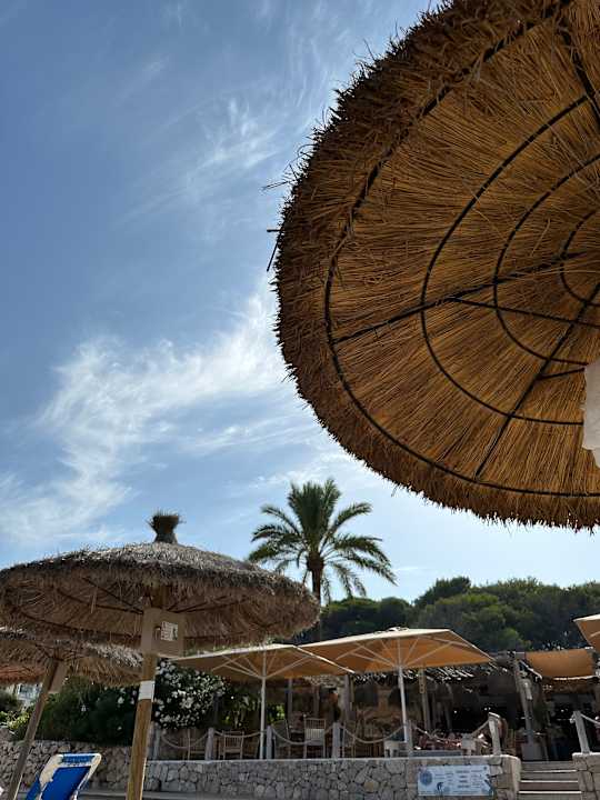 Strand Son Moll Sentits Hotel & Spa