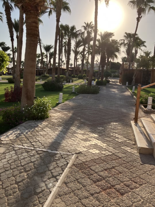 Außenansicht Meraki Resort (Adults Only)