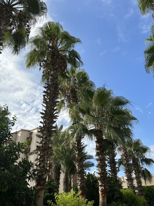 Außenansicht Selge Beach Resort