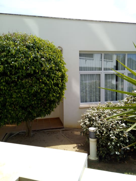 Gartenanlage Hipotels Flamenco