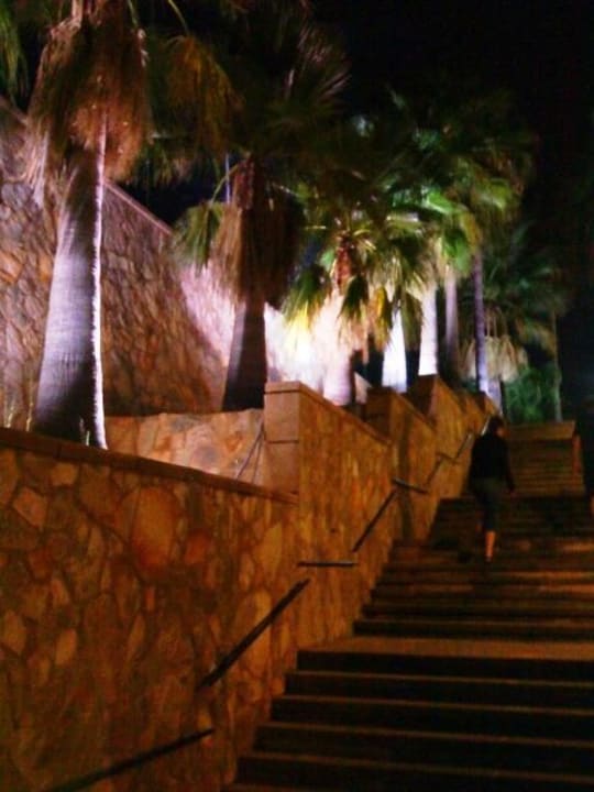 Treppenaufgang zum Hotel  allsun Hotel Bella Paguera