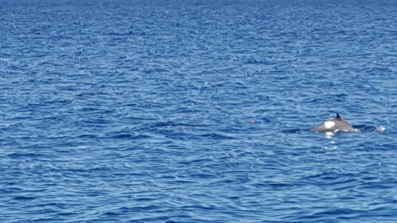 Ausblick Arabella Azur Resort