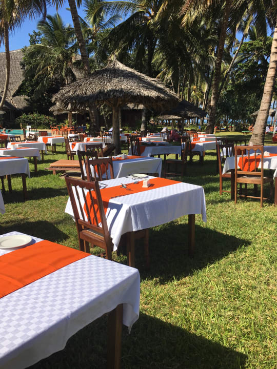 Gartenanlage Neptune Palm Beach Boutique Resort & Spa