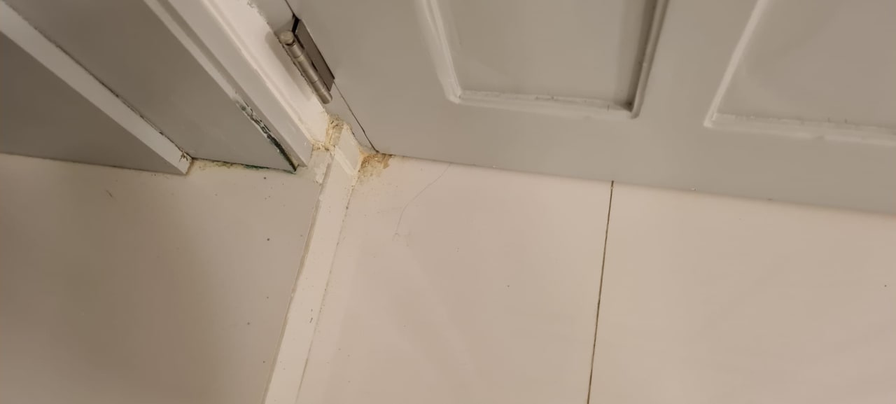 Zimmer Hotel Viva Dominicus Beach by Wyndham - All Inclusive Resort