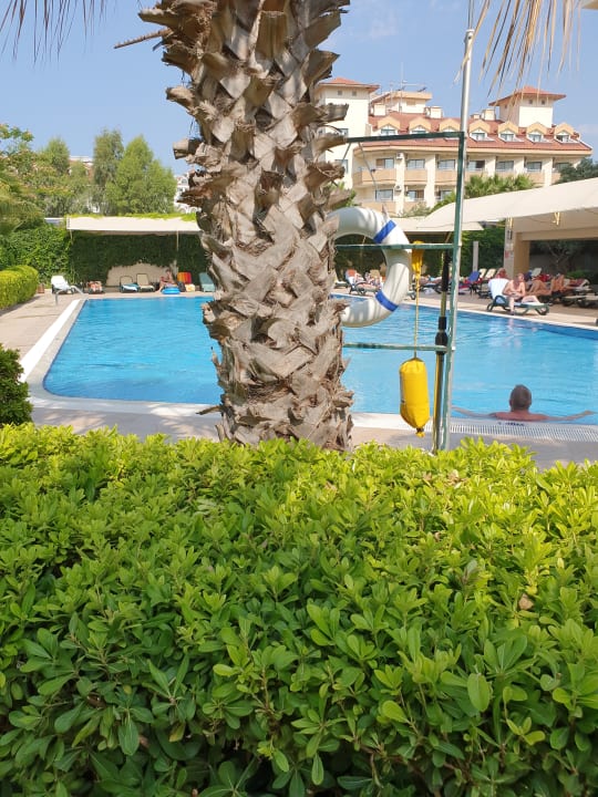 Pool Side Breeze Hotel