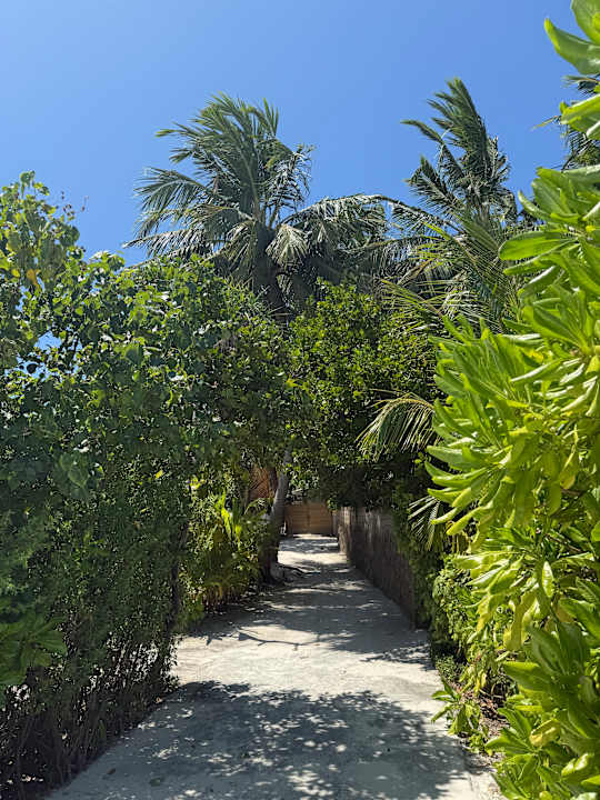 Gartenanlage NH Collection Maldives Havodda Resort
