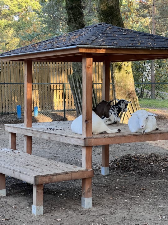 Sport & Freizeit Ferienpark Landal De Lommerbergen