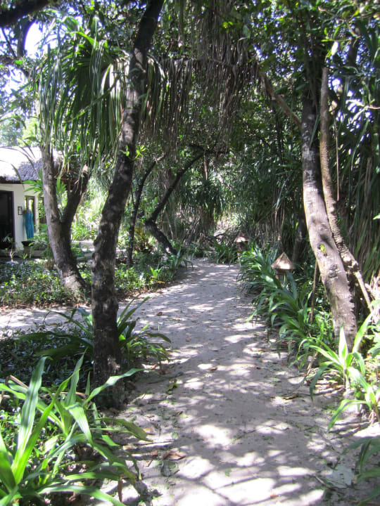 Wege auf der Insel NH Collection Maldives Reethi Resort